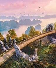 森林舞会游戏机技巧-森林舞会游戏机技巧解析