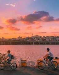 世界杯 贫民窟-世界杯与贫民窟，足球场上的希望与梦想